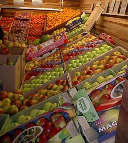 groenten en fruit kortrijk